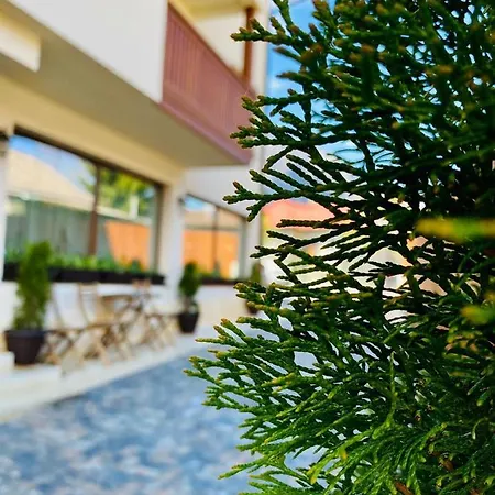 Oda ve Kahvaltı Casa Ankeli Buşteni