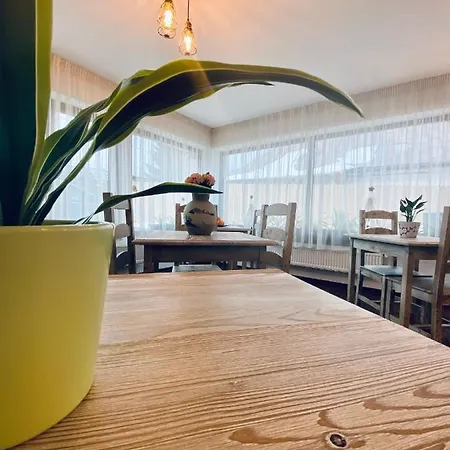 Casa Ankeli Oda ve Kahvaltı Buşteni