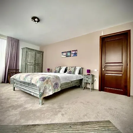 Oda ve Kahvaltı Casa Ankeli Buşteni